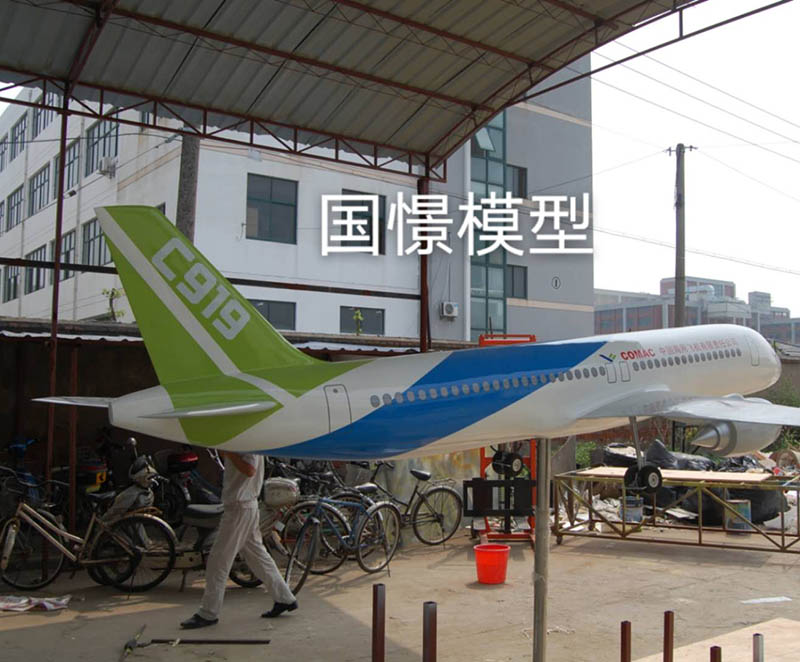 凤凰县飞机模型