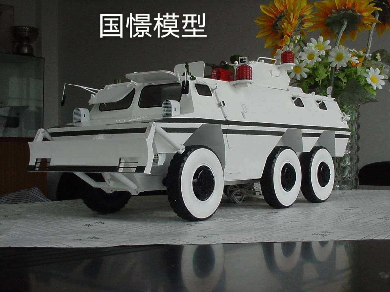 凤凰县军事模型